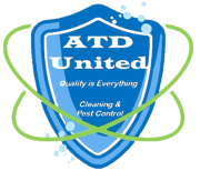 professional extraction cleaning