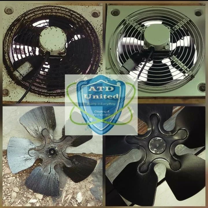 fan and extraction system